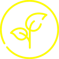 Plant-powered ingredients